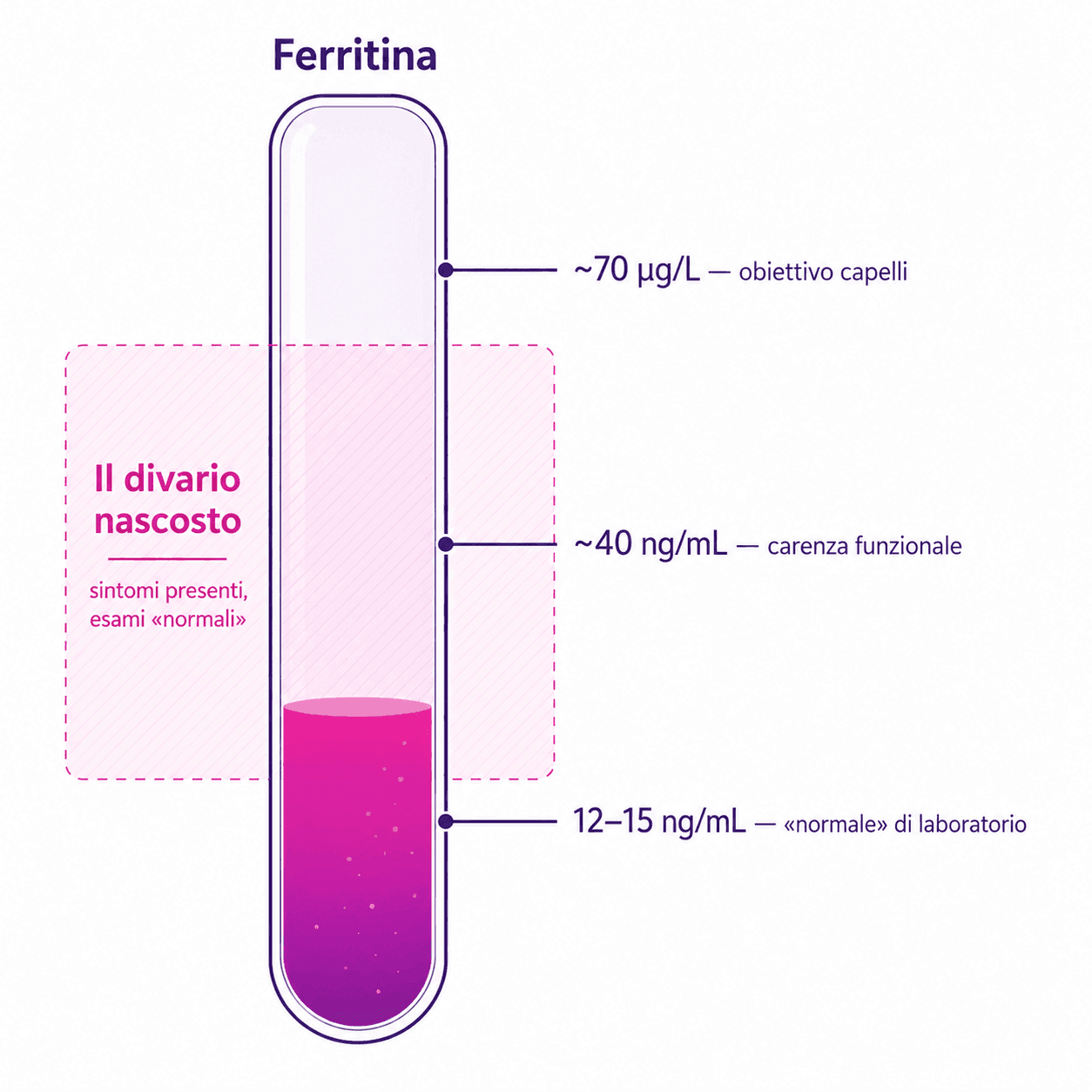 Le soglie di ferritina: «normale» a 12 ng/mL, carenza funzionale a ~40, obiettivo per i capelli a ~70 µg/L