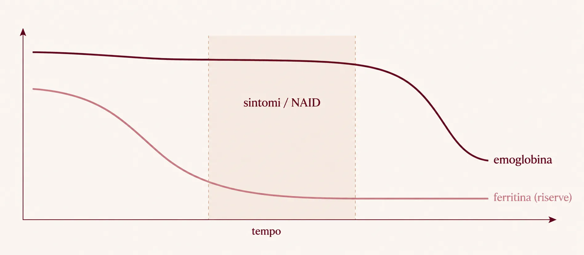 Diagram: a ferritin korábban csökken, mint a hemoglobin (vashiány, NAID)