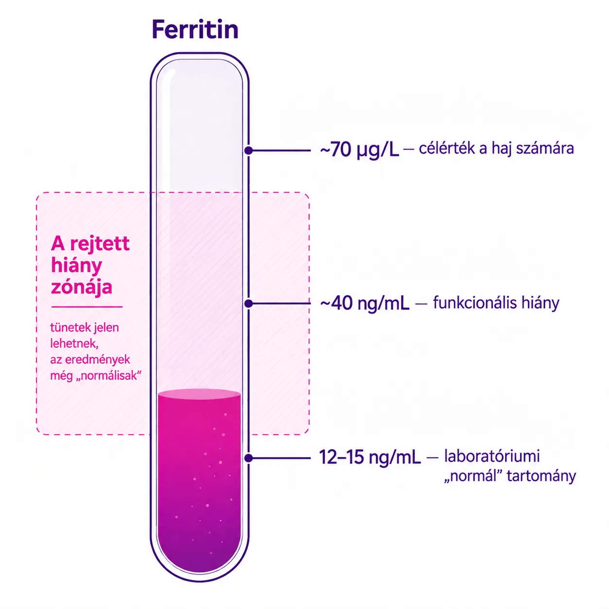 Ferritinszintek: „normál” alsó érték 12 ng/mL, funkcionális hiány ~40 körül, a haj szempontjából említett célérték ~70 µg/L